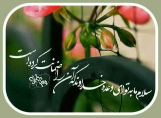 نیمه شعبان